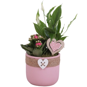 Mothersday Arr. Indoor Ceramic Pot Round Rope Heart Ø14cm 2PP