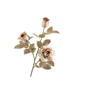 Rosa Spray Dried Brown