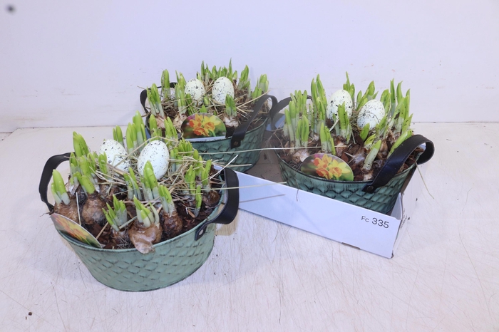 <h4>ARR N TETE A TETE</h4>