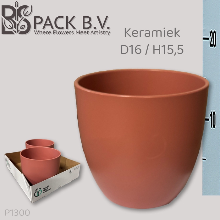 <h4>KERAMISCHE POT H%</h4>