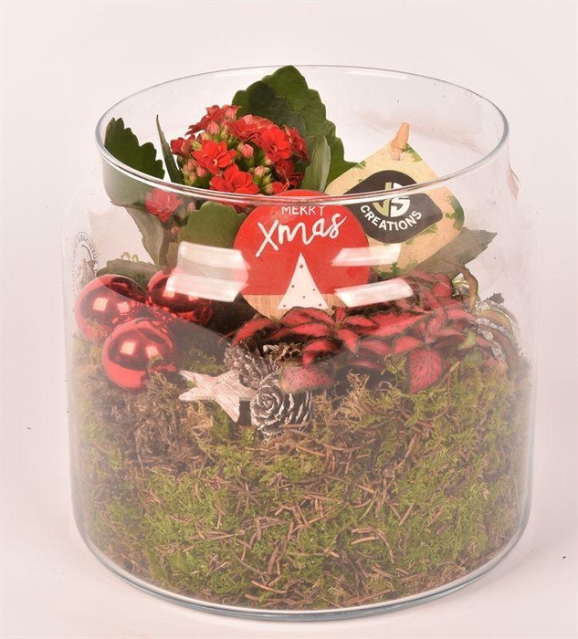 <h4>Glas cilinder 18cm</h4>