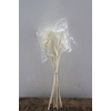 Dried Palm Spear 10pcs Bleached Bunch