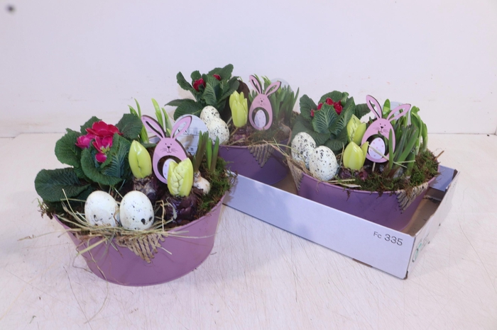 <h4>ARR TUINPLANTEN</h4>