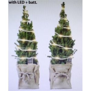 25514 XL JUTE PICEA+LED