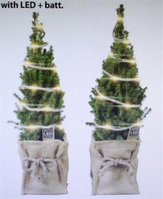 <h4>25514 XL JUTE PICEA+LED</h4>