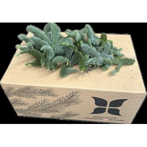 NOBILIS WITBAND VEERTJES 8KG