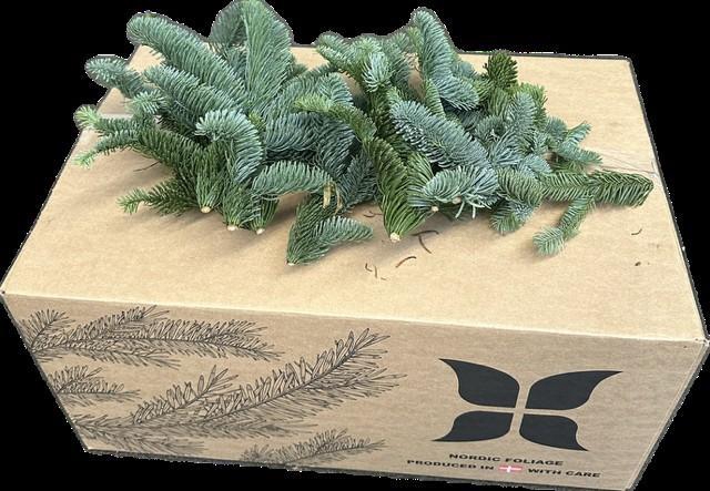 <h4>NOBILIS WITBAND VEERTJES 8KG</h4>