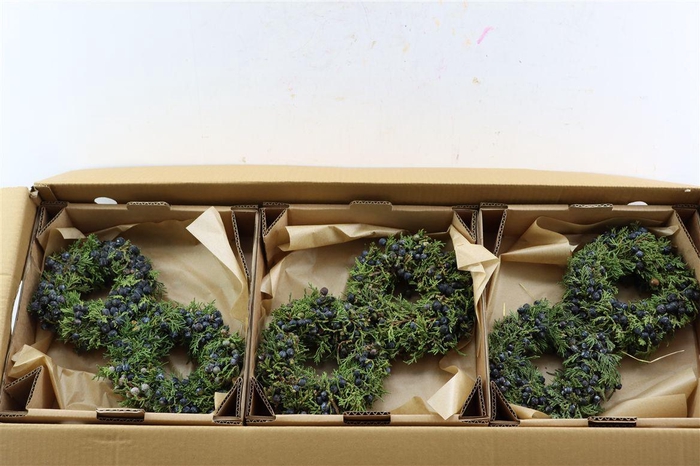 <h4>Wr Sierfruit Juniperus Black 20cm</h4>