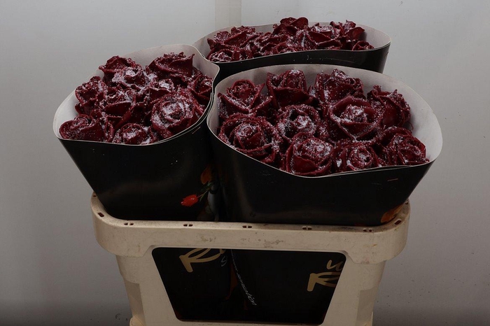 Wax-Rozen Wax Wit  Zilver glitter