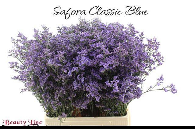 <h4>LIM SAF CLASSIC BLUE</h4>