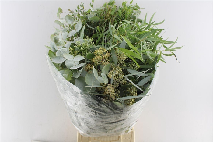 <h4>Euca Mix 300 Gram</h4>