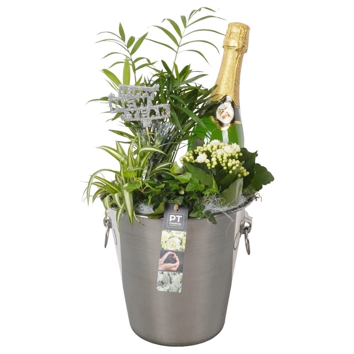 <h4>Arr.    Planten  H%</h4>