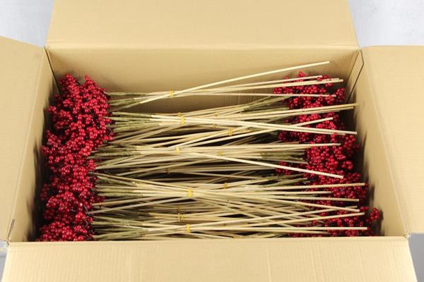 <h4>Stick Berries Ilex Red</h4>