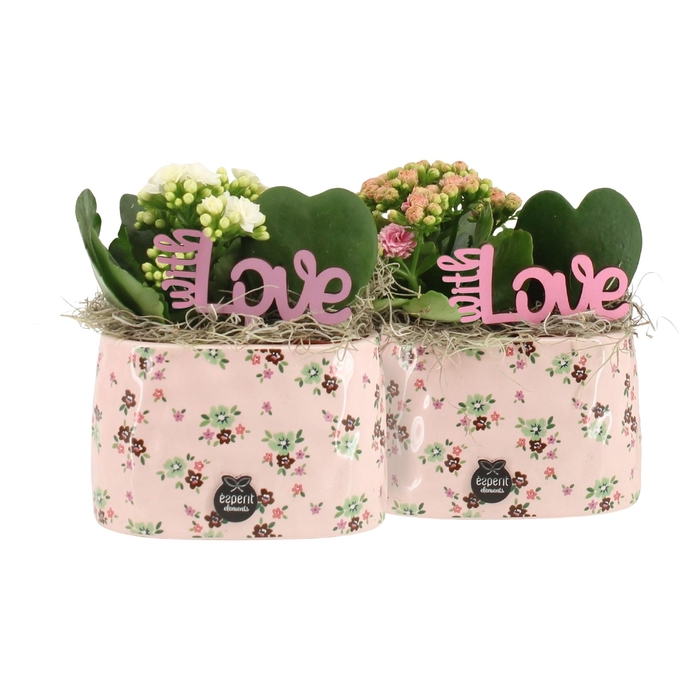 <h4>21650: Lovess arrangement</h4>