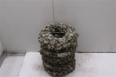 <h4>Krans Lariks 30 Cm</h4>