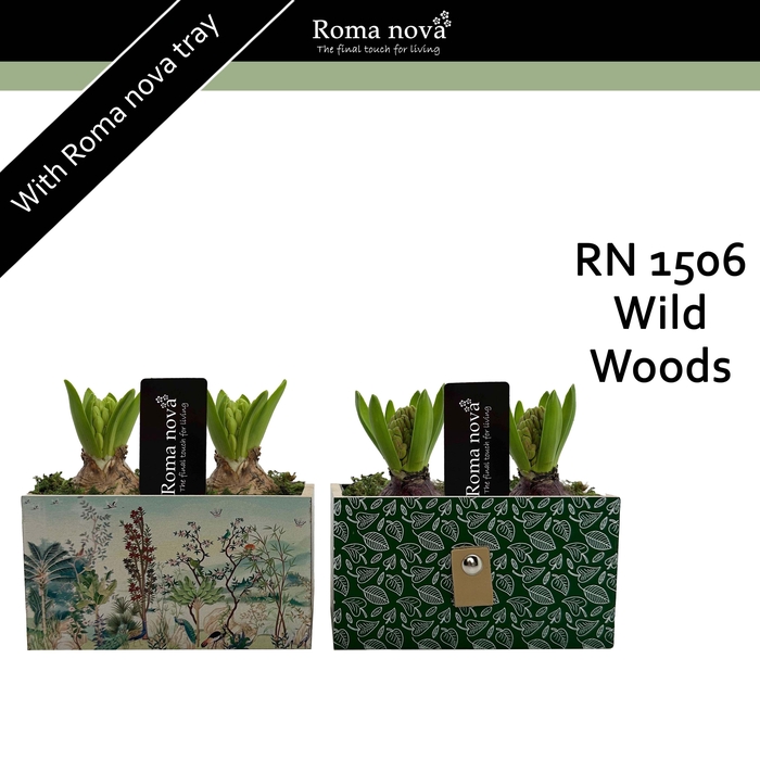 <h4>Hya Rom 1506 Wild Woods</h4>