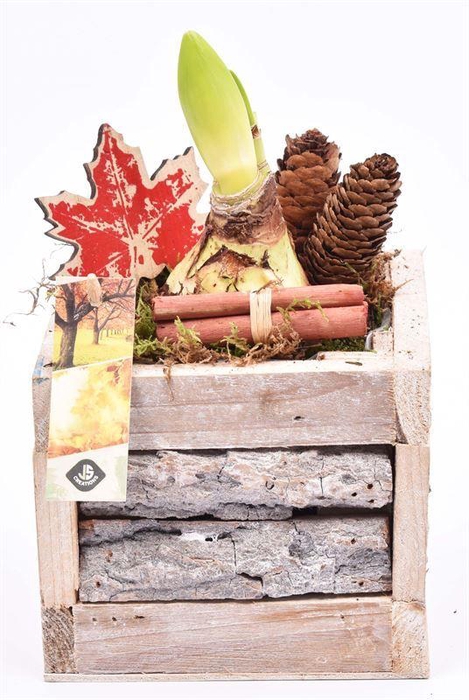 <h4>Hout met boomschors 15x15cm</h4>