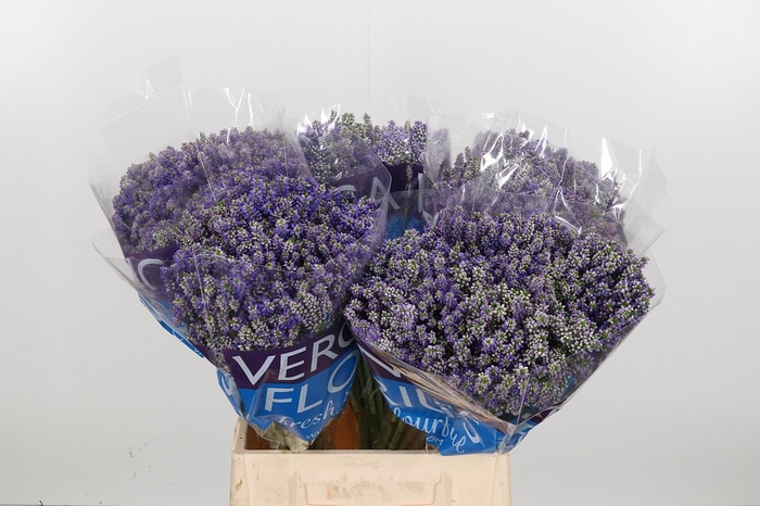 <h4>Veron Smart Fountain Spray</h4>