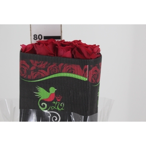 ROSA VERMELHA FREEDOM 070 IMPORTADA