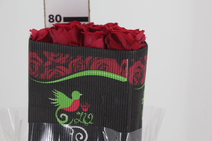 <h4>ROSA VERMELHA FREEDOM 070 IMPORTADA</h4>