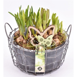 Gaasmand met cement schaal gy 21cm