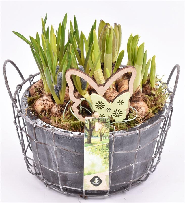 <h4>Gaasmand met cement schaal gy 21cm</h4>