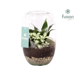 Green Bottle Isabella Medium met Groene Planten