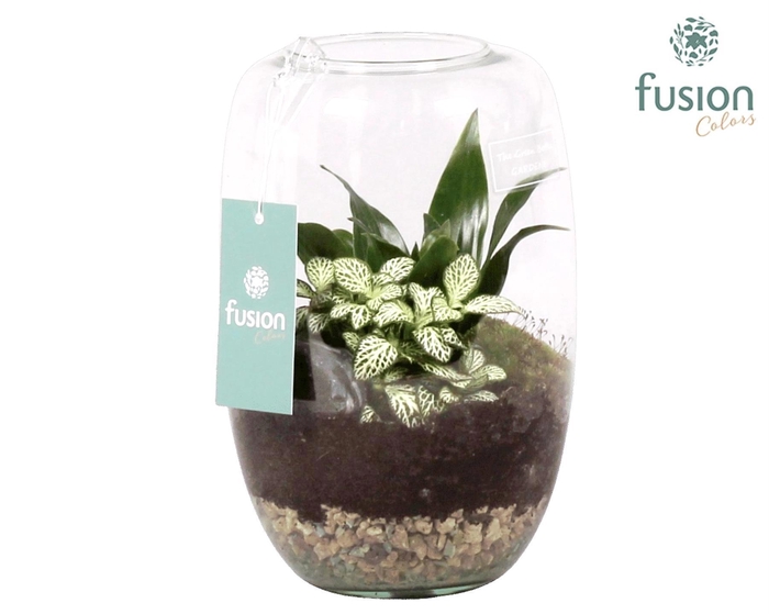 <h4>Green Bottle Isabella Medium met Groene Planten</h4>