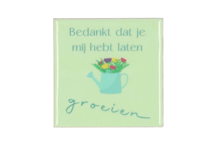 <h4>Tile Groeien Green 10x10x1cm</h4>