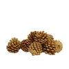 Nature Pinecone Gold Glitter Ass P/12