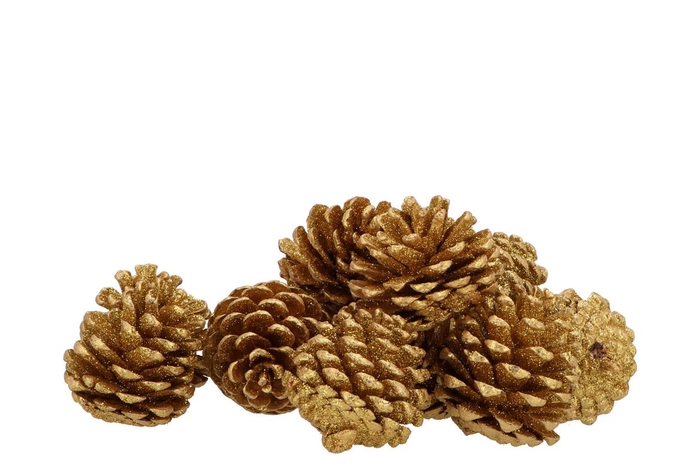 <h4>Nature Pinecone Gold Glitter Ass P/12</h4>