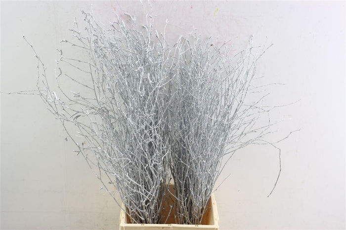 <h4>Berk 70cm Gl Zilver Pbs</h4>