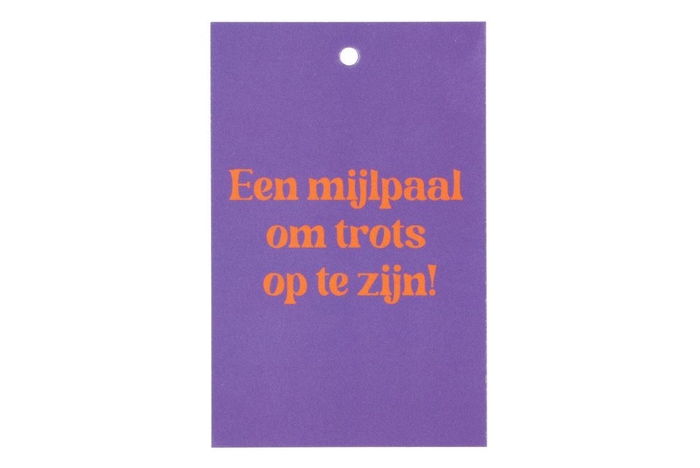 <h4>Gift Bouquet Card Een Mijlpaal Purple 6x9cm P/25</h4>