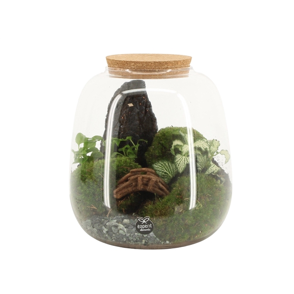 <h4>90774: Landscape terrarium arrangement</h4>