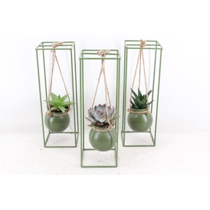 arr2 MB - Groen ijzer rek 1 bol