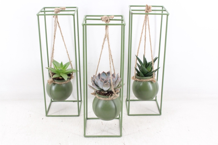 <h4>arr2 MB - Groen ijzer rek 1 bol</h4>