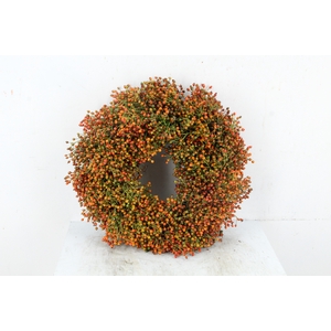 WREATH ROSA ORANGE/GREEN