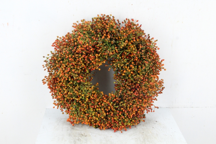 <h4>WREATH ROSA ORANGE/GREEN</h4>