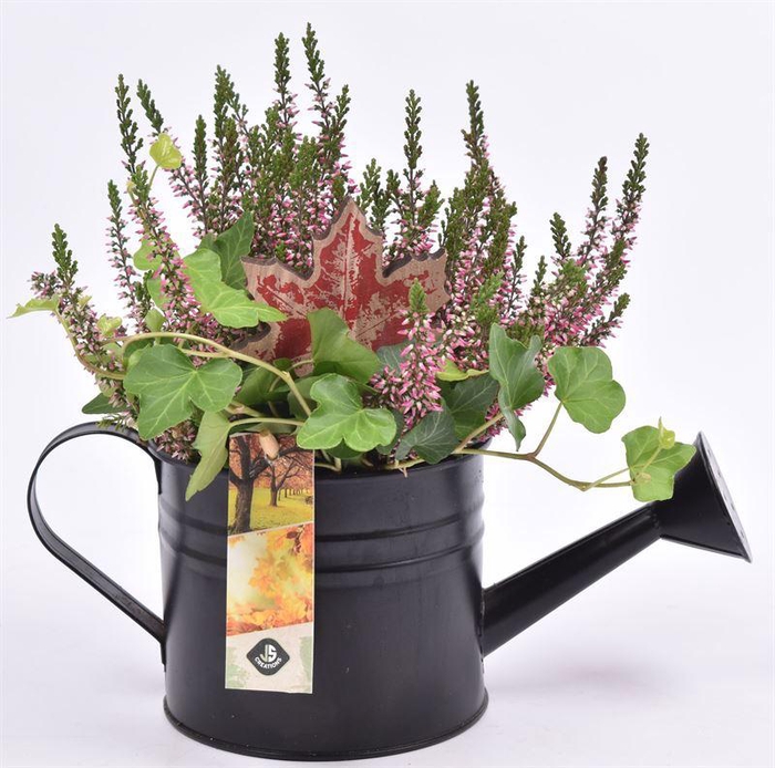 <h4>Zink gieter dia14cm</h4>