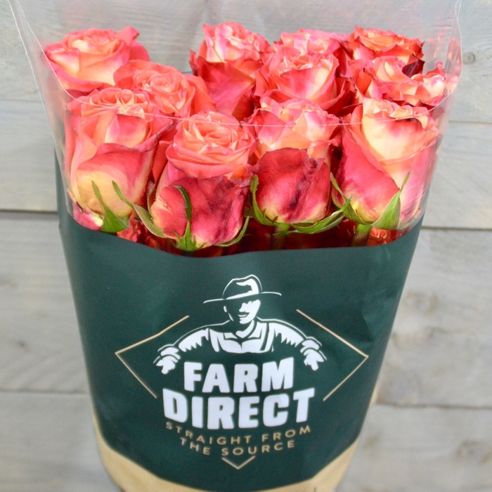 <h4>R Gr Contrast Garden</h4>