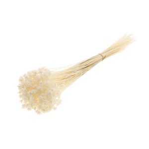 Bunch Hill Flower Slv 100g L45