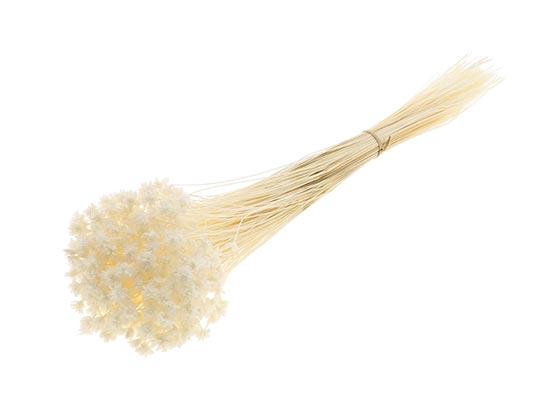 Bunch Hill Flower Slv 100g L45