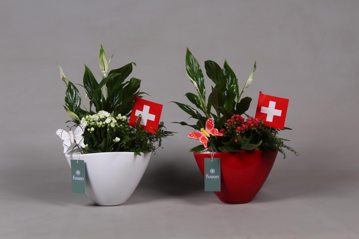<h4>Keramiek pot met arrangement en de vlag van Zwitserland</h4>