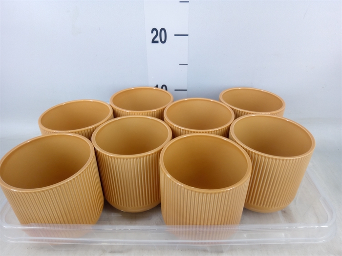 <h4>Pot   ...Keramische H%</h4>