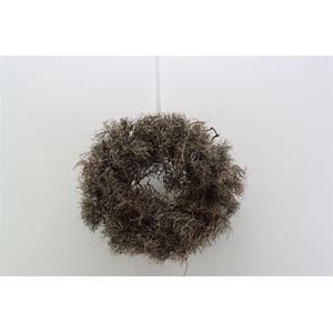 Wr Iron Grass 30cm Natural