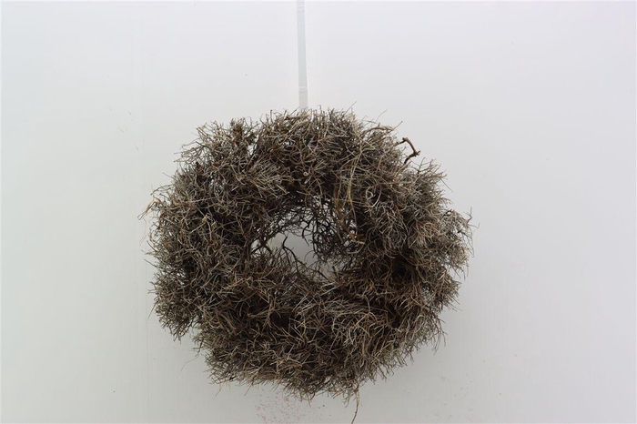 <h4>Wr Iron Grass 30cm Natural</h4>