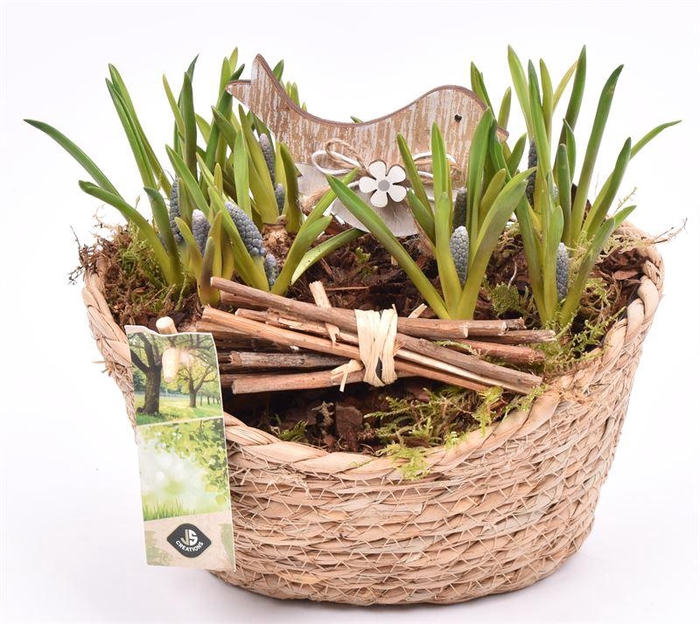 <h4>Jute mand ovaal 23x18.5cm</h4>