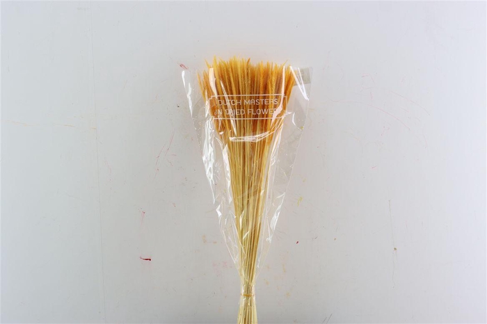 <h4>Dried Soft Silk Worms Orange Bunch</h4>