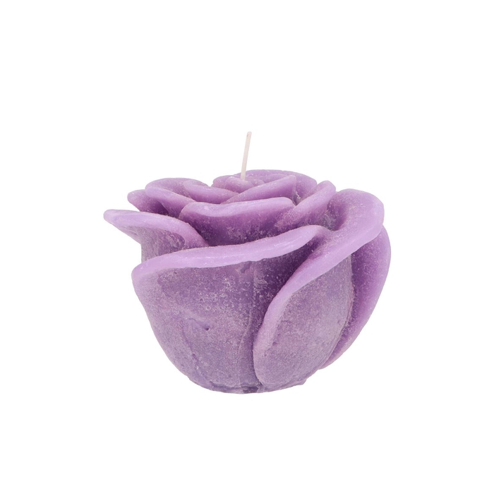 <h4>Candle Roos Lila 11x9cm</h4>