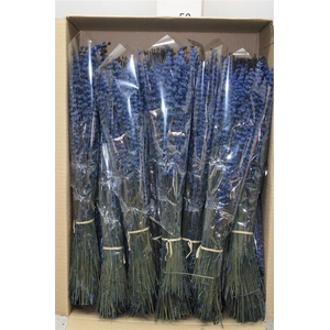 Lavendel Preserved